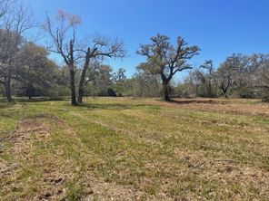3531 County Road 348, Brazoria, TX, 77422