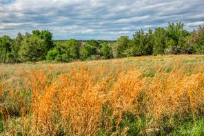 TBD (56.1 County Road 125, Ledbetter, TX, 78946