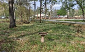 25006 Virginia, Porter, TX, 77365