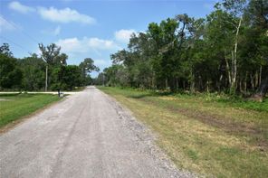 0000 County Road 802, Brazoria, TX, 77422