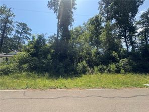 01 Overcup, Spring, TX, 77389