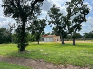 6018 County Road 802, Brazoria, TX, 77422