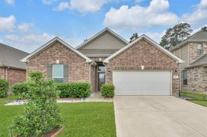 3929 Eagle Nest Lake, Magnolia, TX, 77354