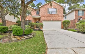 23 Spinning Wheel, The Woodlands, TX, 77382
