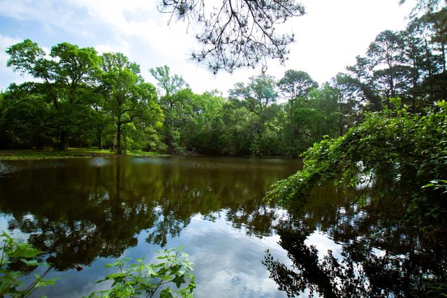 938 Jones Road, New Waverly, TX, 77358
