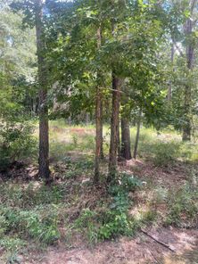 70 Tall Timbers Trail, Coldspring, TX, 77331
