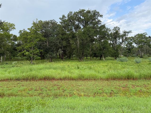 31902 Amberjack, Richwood, TX, 77515