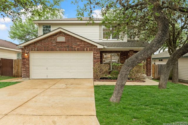 1230 LION KING, San Antonio, TX, 78251