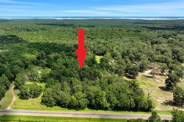 TBD Hwy 156, Coldspring, TX, 77331