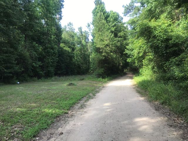 0 Frances Rd, Cleveland, TX, 77328