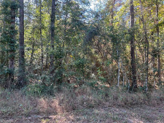 162 Meadow, Livingston, TX, 77351