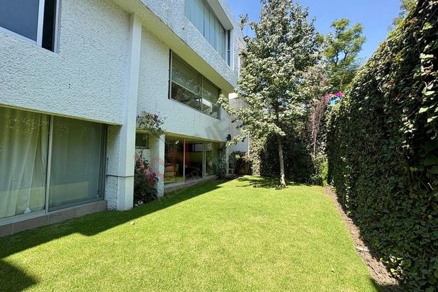 7 Magnolia, Ciudad de México