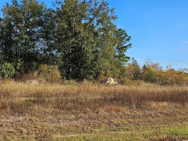 8026 Road 5891, Cleveland, TX, 77327