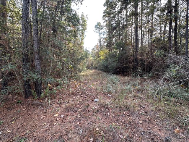 186 Rosanky, Livingston, TX, 77351