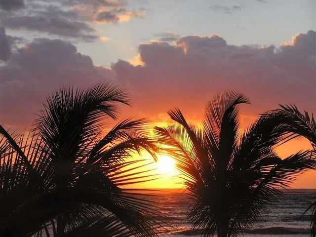 64 La Carretera Mahahual-Uvero, Othon P. Blanco