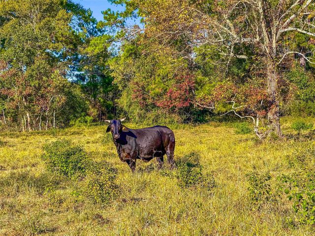 TBD County Road 2090, Liberty, TX, 77575