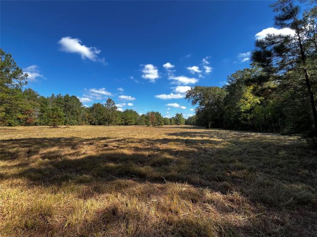  0 County Road 2314, Dayton, TX 77535