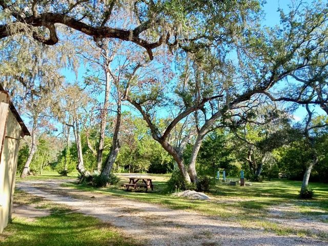 17628 County Road 426, Brazoria, TX, 77422