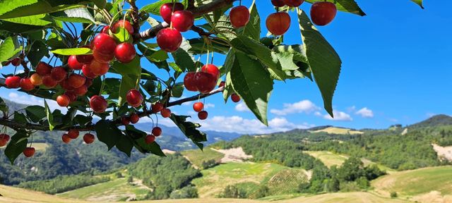 25 Via Modiglianese 25–27–29 Ex Località Ridiane, Tredozio