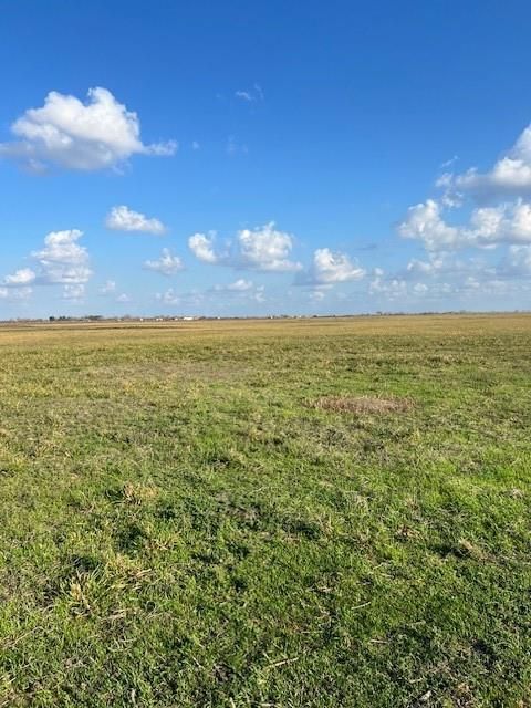11401 FM 1994, Guy, TX, 77444
