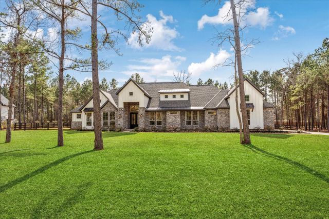 7729 Dog Wood Acres, Montgomery, TX, 77316