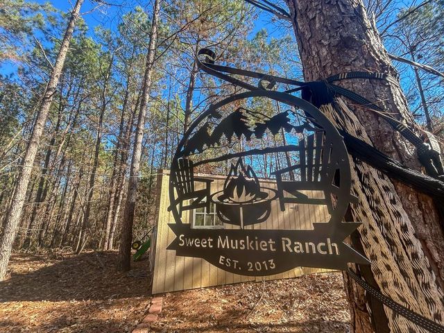 3320 FM 3065, Colmesneil, TX, 75938