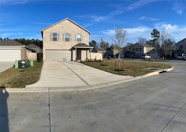1391 Diamond Carnation, Conroe, TX, 77301