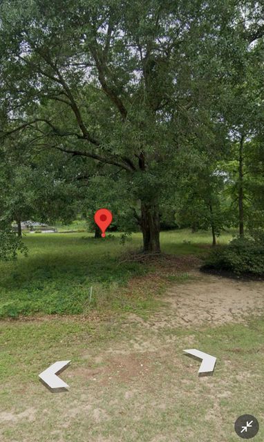 13521 J B K Memorial DR, Willis, TX, 77318