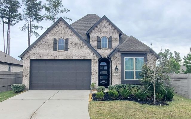 15708 Autumn Sun, Conroe, TX, 77302