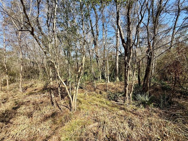 0 Redbud, Conroe, TX, 77302