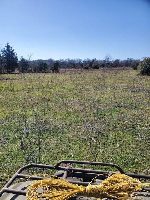  000 FM 1774, Plantersville, TX 77363