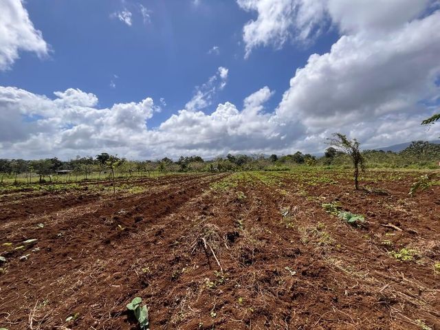 Zona Turistica y Ecologica, Guatuso Alajuela