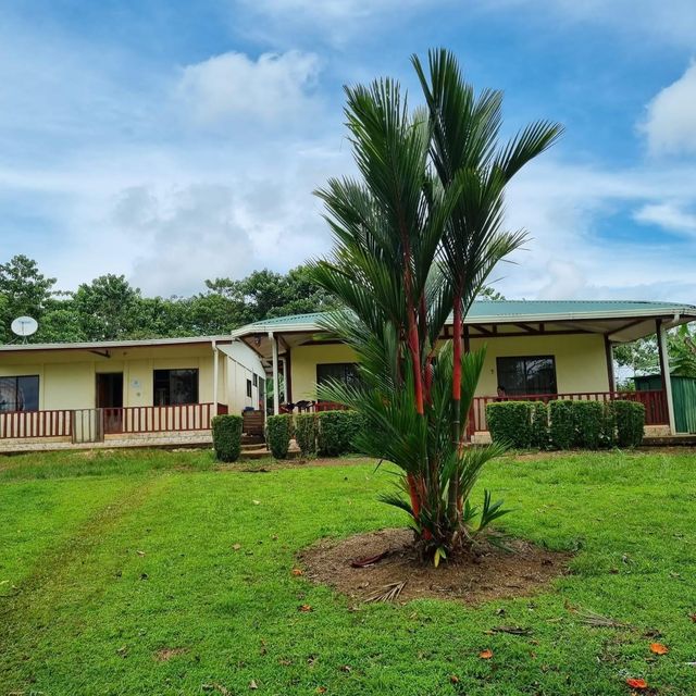 142 HC Coopervega de Cutris - San Carlos, Coopervega de Cutris