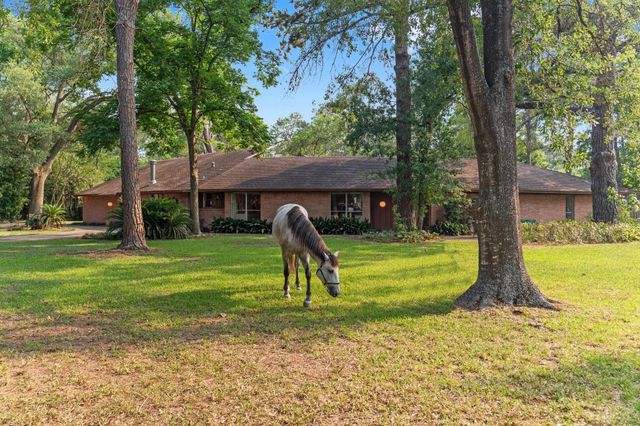 9809 Neuens, Houston, TX, 77080
