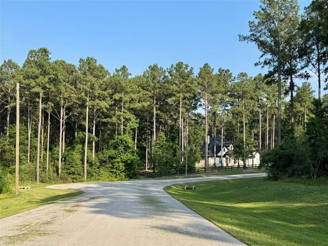 TBD Rising Sun, New Waverly, TX, 77358