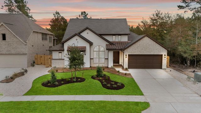1764 Howler, Todd Mission, TX, 77316