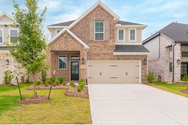 17711 Tree Of Heaven, Conroe, TX, 77385