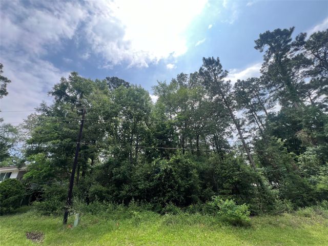 TBD Ibex, Onalaska, TX, 77360