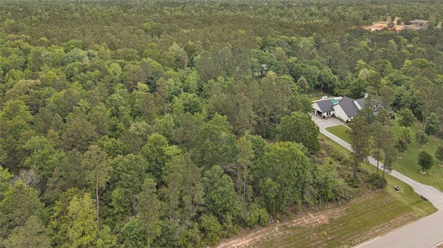 10681 Ruger, Willis, TX, 77378
