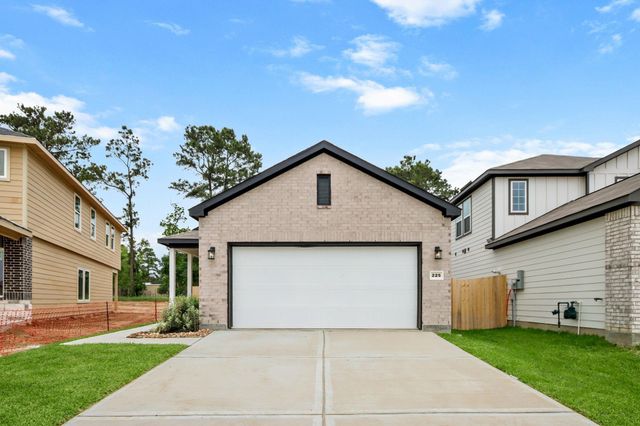 225 Elm Spring, Hockley, TX, 77447