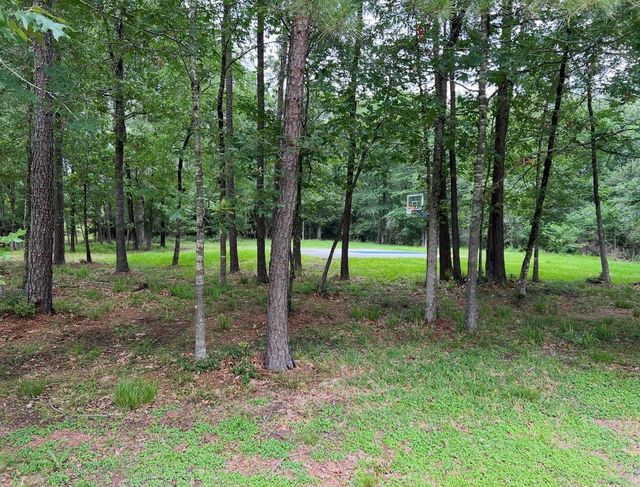 11455 Lake Oak Drive, Montgomery, TX, 77356
