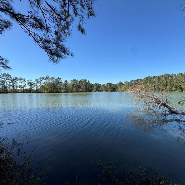 6273 Alder Creek, Montgomery, TX, 77316