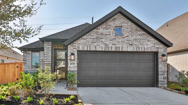 6038 Cottontail, Manvel, TX, 77578