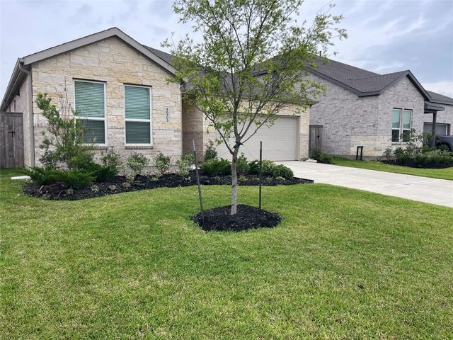 16503 Texas Palmetto, Hockley, TX, 77447