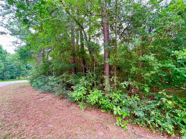 30803 Green Forest, Magnolia, TX, 77354