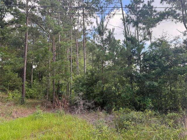 3555 Hickock, Willis, TX, 77378