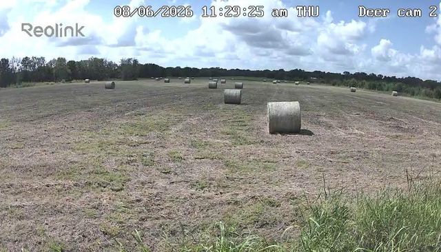 0 Korthauer, Bellville, TX, 77418
