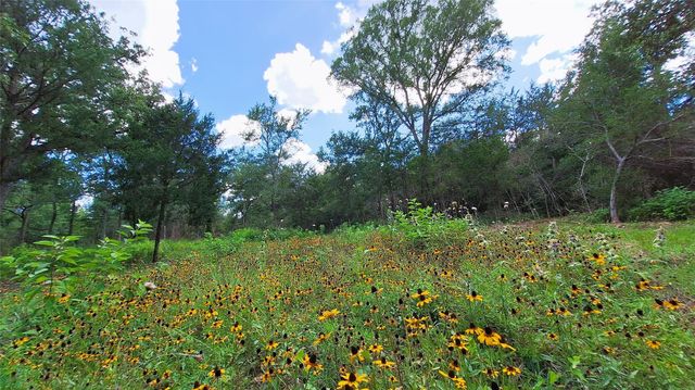 1014 Beaver Lake, Caldwell, TX, 77836