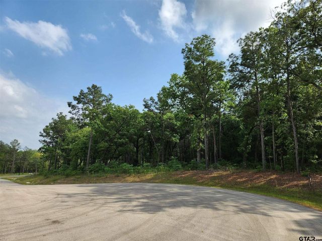 3281 Shadow Pine Dr Lot, Larue, TX, 75770