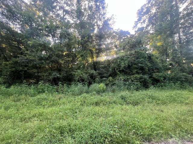 N/A Royal Creek Rd, Conroe, TX, 77303
